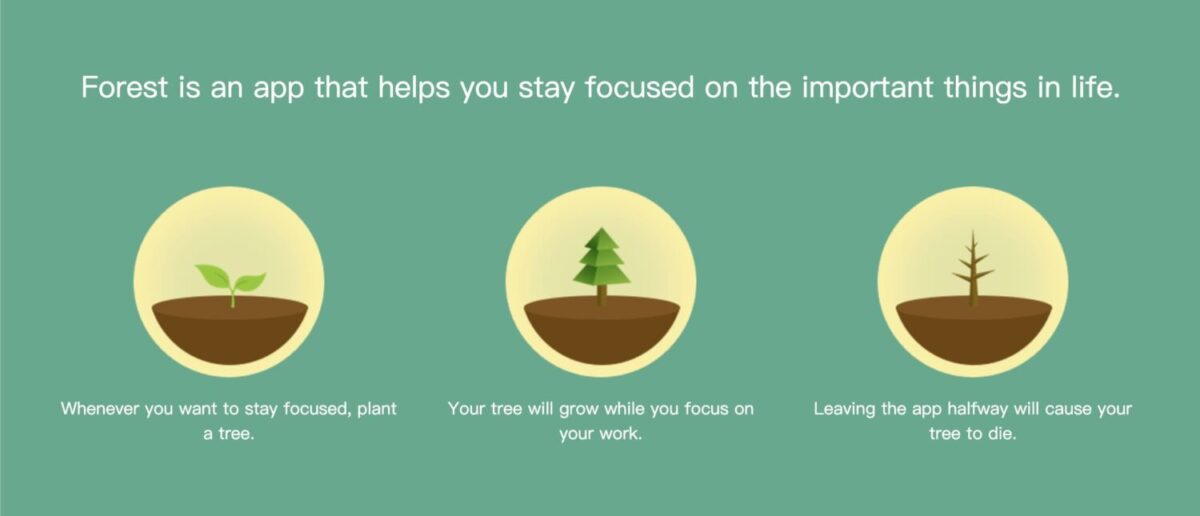 App Of The Month: Forest (March 2025)